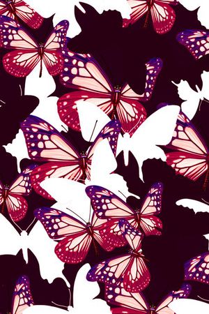 蝴蝶的组合印花华亿平台图片