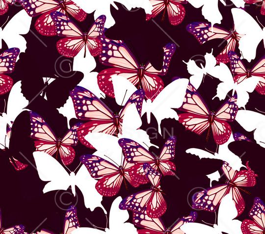 蝴蝶的组合印花华亿平台图片