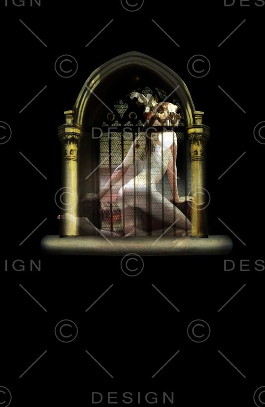 美女印花华亿平台图片