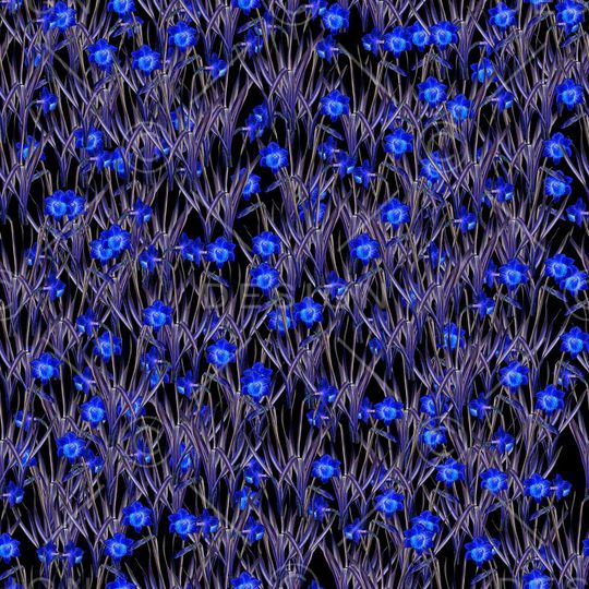 花朵印花华亿平台图片