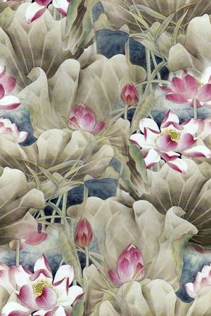 女装印花华亿平台图片