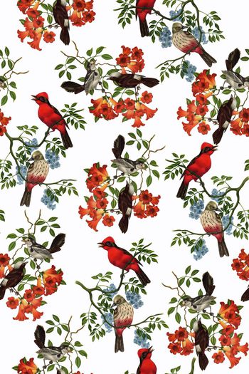 617612-2016-4-20水彩花鸟1