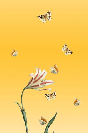 印花华亿平台图片