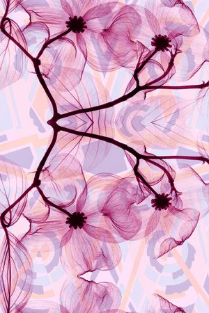 定位印花华亿平台图片