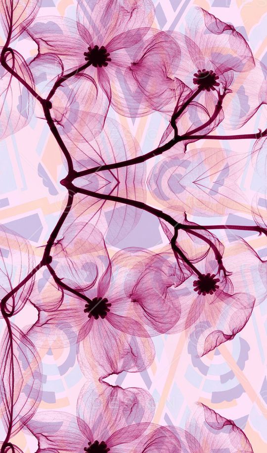 定位印花华亿平台图片