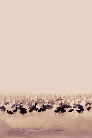 旗袍印花华亿平台图片