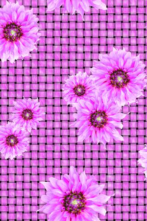 植物印花华亿平台图片