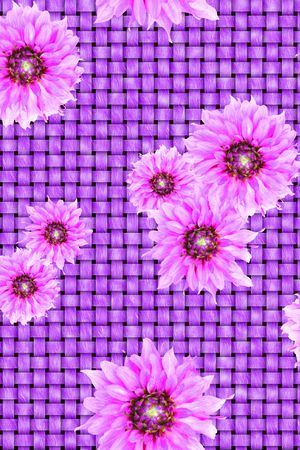 植物印花华亿平台图片