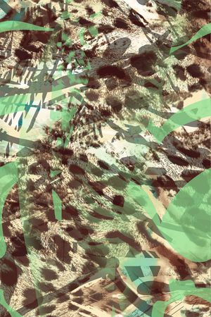 动物纹印花华亿平台图片