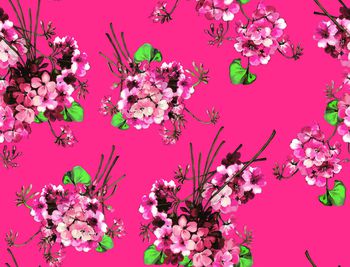 618641-插花-调色01-橘红组-P