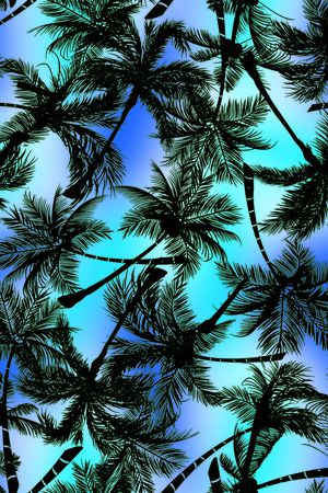 椰树印花华亿平台图片