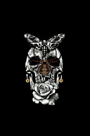 骷髅头印花华亿平台图片