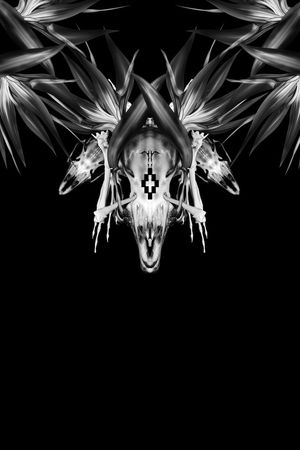 marcelo印花华亿平台图片