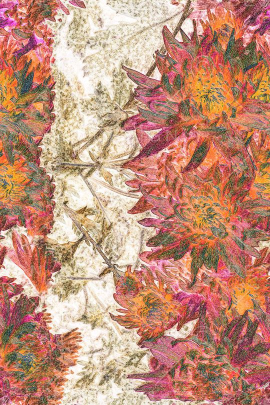 时尚印花华亿平台图片