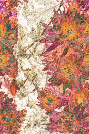 时尚印花华亿平台图片