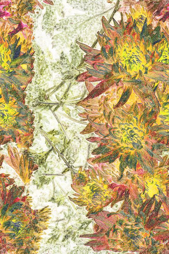 时尚印花华亿平台图片