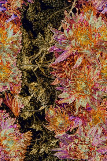 618740-未标题-4aaa