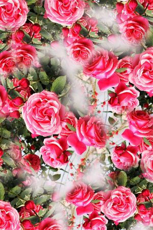 清爽印花华亿平台图片