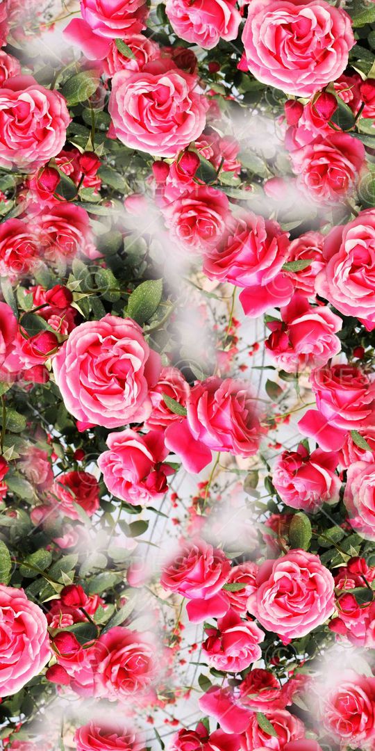 清爽印花华亿平台图片