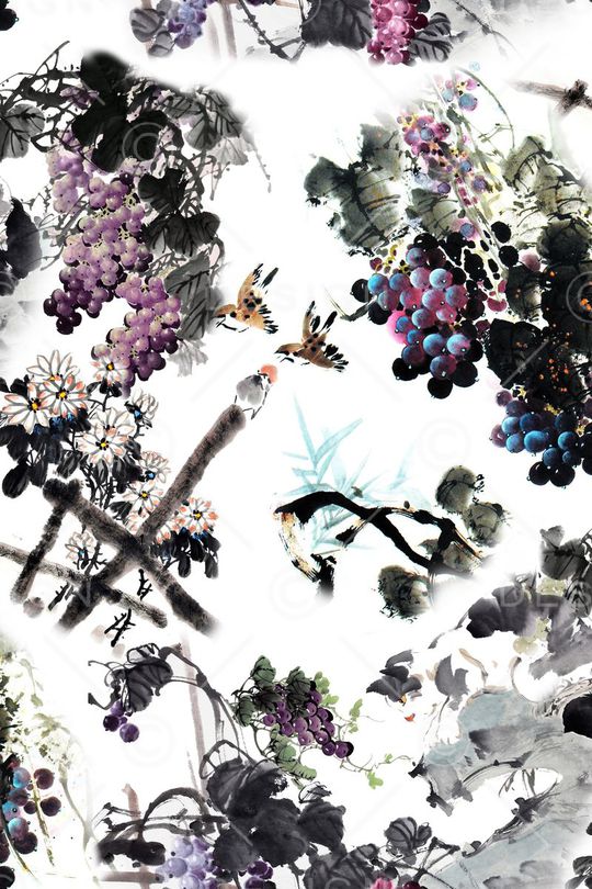 国画葡萄印花华亿平台图片