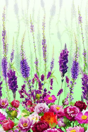 女装印花华亿平台图片