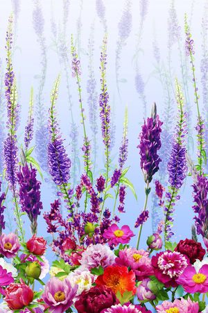 女装印花华亿平台图片