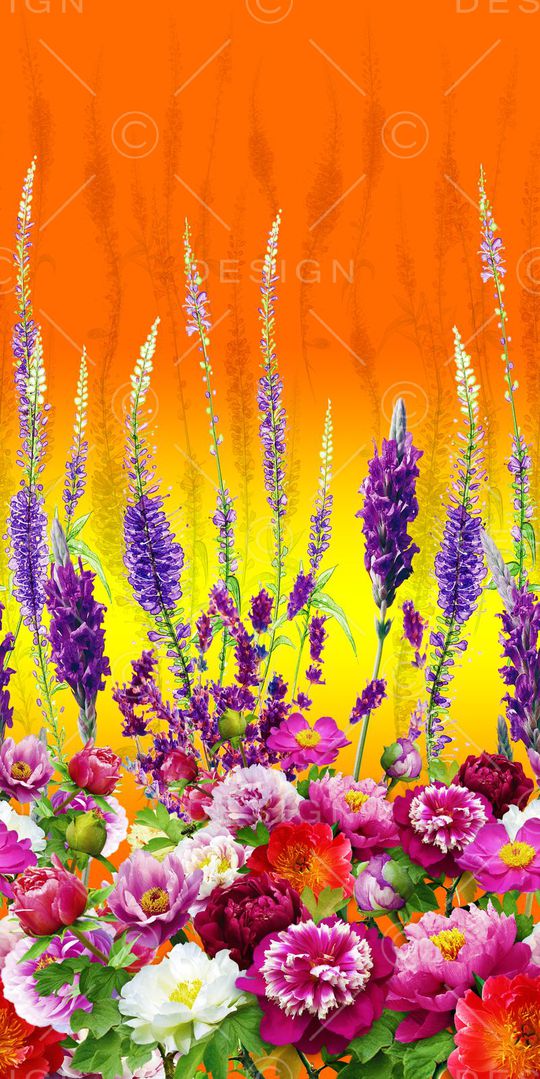 女装印花华亿平台图片