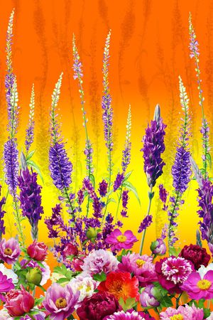 女装印花华亿平台图片