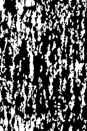 单色印花华亿平台图片