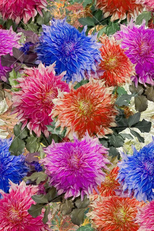 中国风印花华亿平台图片