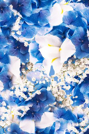 时尚手绘花卉印花华亿平台图片