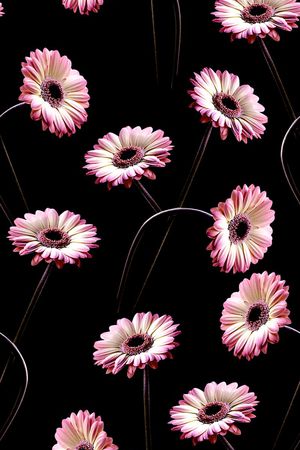 数码印花印花华亿平台图片