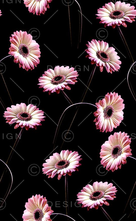 数码印花印花华亿平台图片