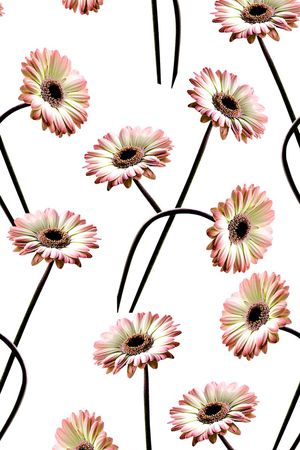 数码印花印花华亿平台图片