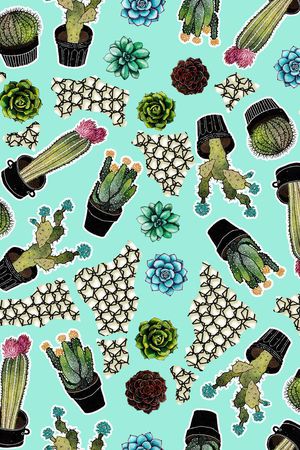 仙人球印花华亿平台图片