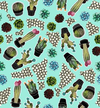 619875-水彩仙人掌仙人球剪纸华亿平台