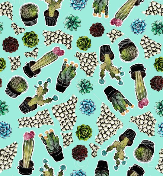 仙人球印花华亿平台图片