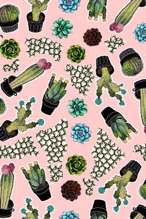 仙人球印花华亿平台图片