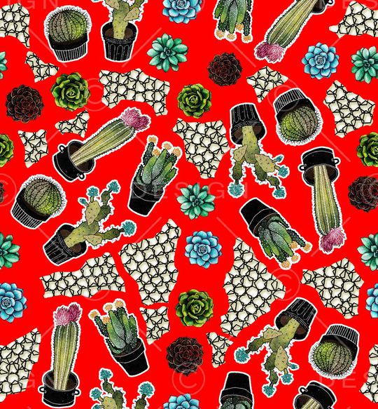 仙人球印花华亿平台图片