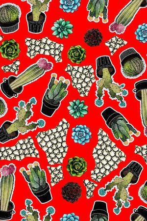 仙人球印花华亿平台图片