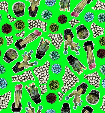 619878-水彩仙人掌仙人球剪纸华亿平台4