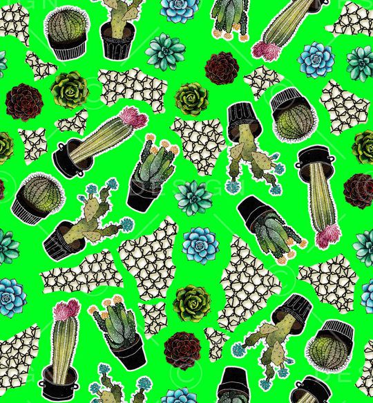 仙人球印花华亿平台图片