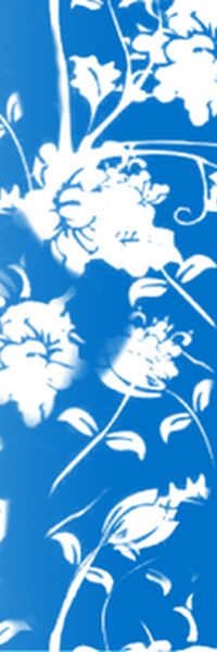 女装印花华亿平台图片