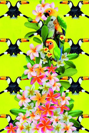 2017印花华亿平台图片