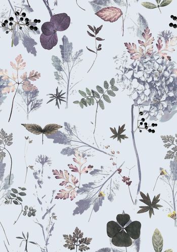 WGSN印花华亿平台图片