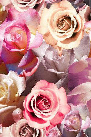 满版花卉印花华亿平台图片