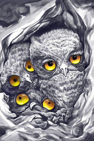 老鹰印花华亿平台图片