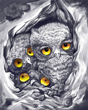 老鹰印花华亿平台图片