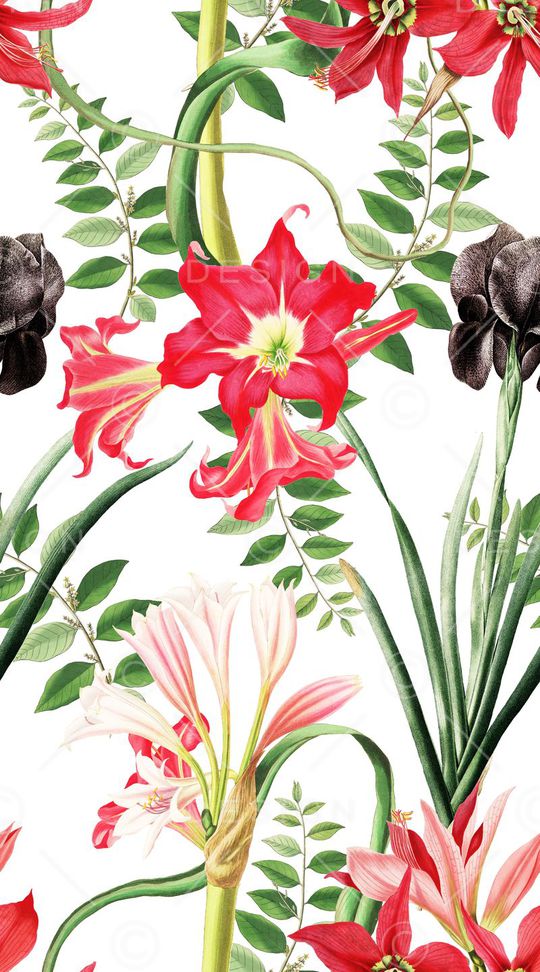 清爽印花华亿平台图片