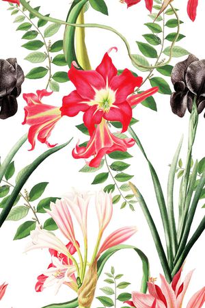 清爽印花华亿平台图片